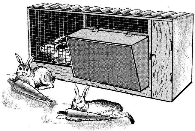 Инструкция-Как Можно Построить Крольчатник Своими Руками