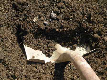 Перекопка почвы помогает избавиться от сорняков, многолетних и однолетних