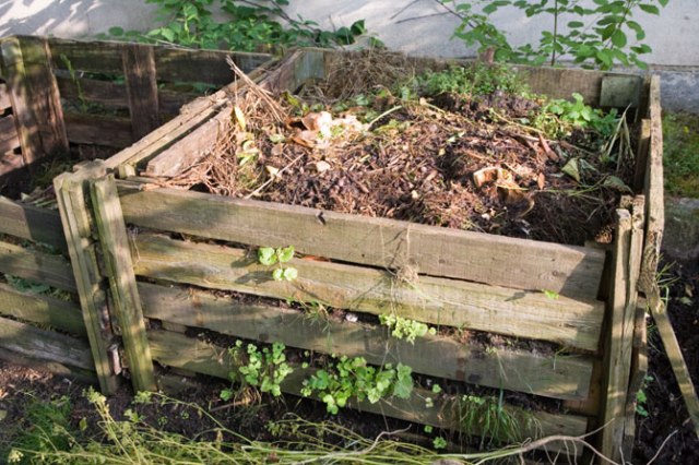 Подходят опавшие листья и для приготовления качественного компоста, если добавлять их в правильно построенную яму в небольшом количестве