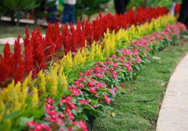 Дизайнеры рекомендуют выбирать растения для многолетней привлекательной клумбы таким образом, чтобы цветение продолжалось с весны и до самой осени