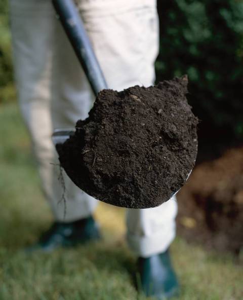 Существуют различные виды повышения плодородности почв: использование червей, микроорганизмов, смешанные посадки, внесение органических удобрений