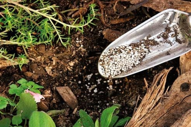 Искусственное плодородие почвы создается при вмешательстве человека. Мелиорация, использование удобрений и иные способы способствуют придания грунту характеристик, подходящих для быстрого выращивания культур
