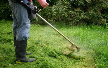 Триммер для травы - значительное облегчение труда по уборке территории