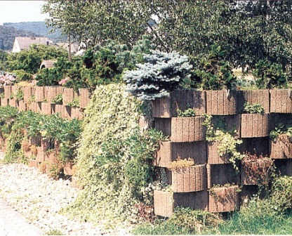 Живой забор - декоративная изгородь