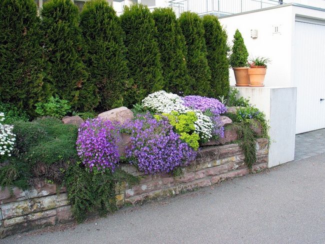 Каменный забор с цветами - очень необычно для современной дачи!