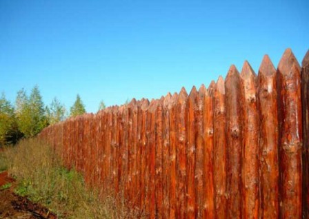 Забор-частокол - один из самых безопасных вариантов ограждения дачной территории